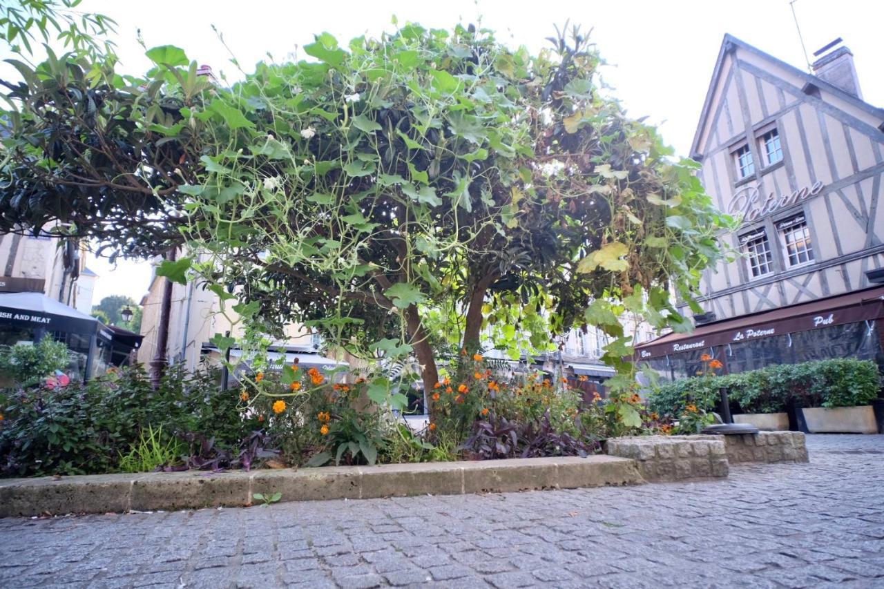 Apartamento Le Perroquet Fringant, Rue Pietonne Et Quartier Historique Caen Exterior foto